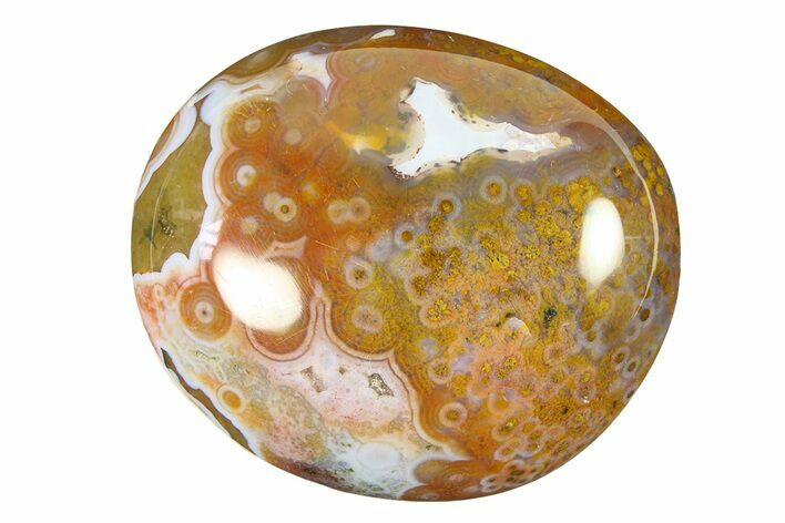 Polished Ocean Jasper Stone - New Deposit #297259